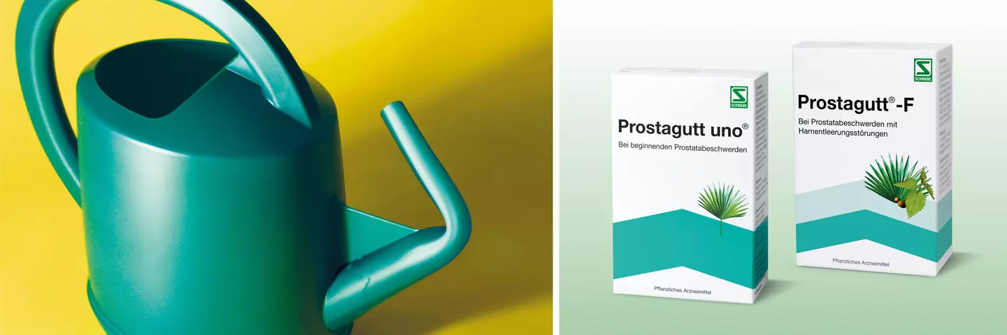 Header_Prostagutt-F_uno_1920x640_Packshot_DE_web