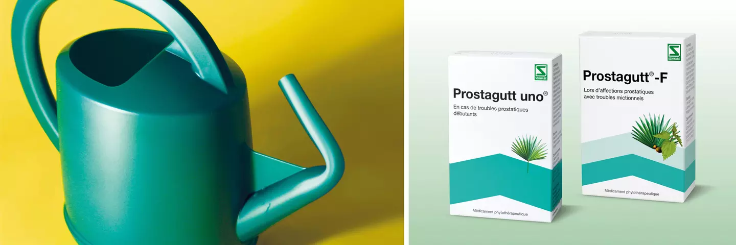 Header_Prostagutt-F_uno_1920x640_Packshot_FR_web